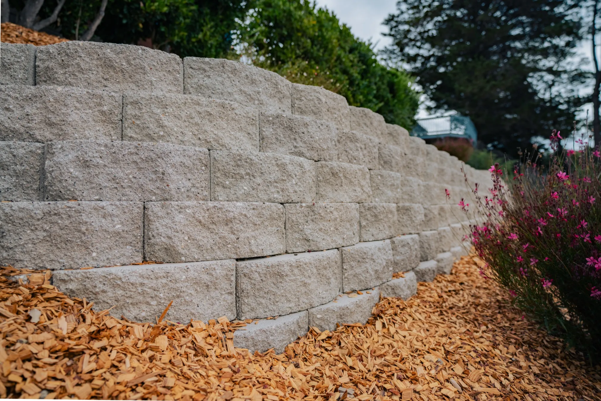 Segmental block retaining wall with flowering planting and fresh mulch