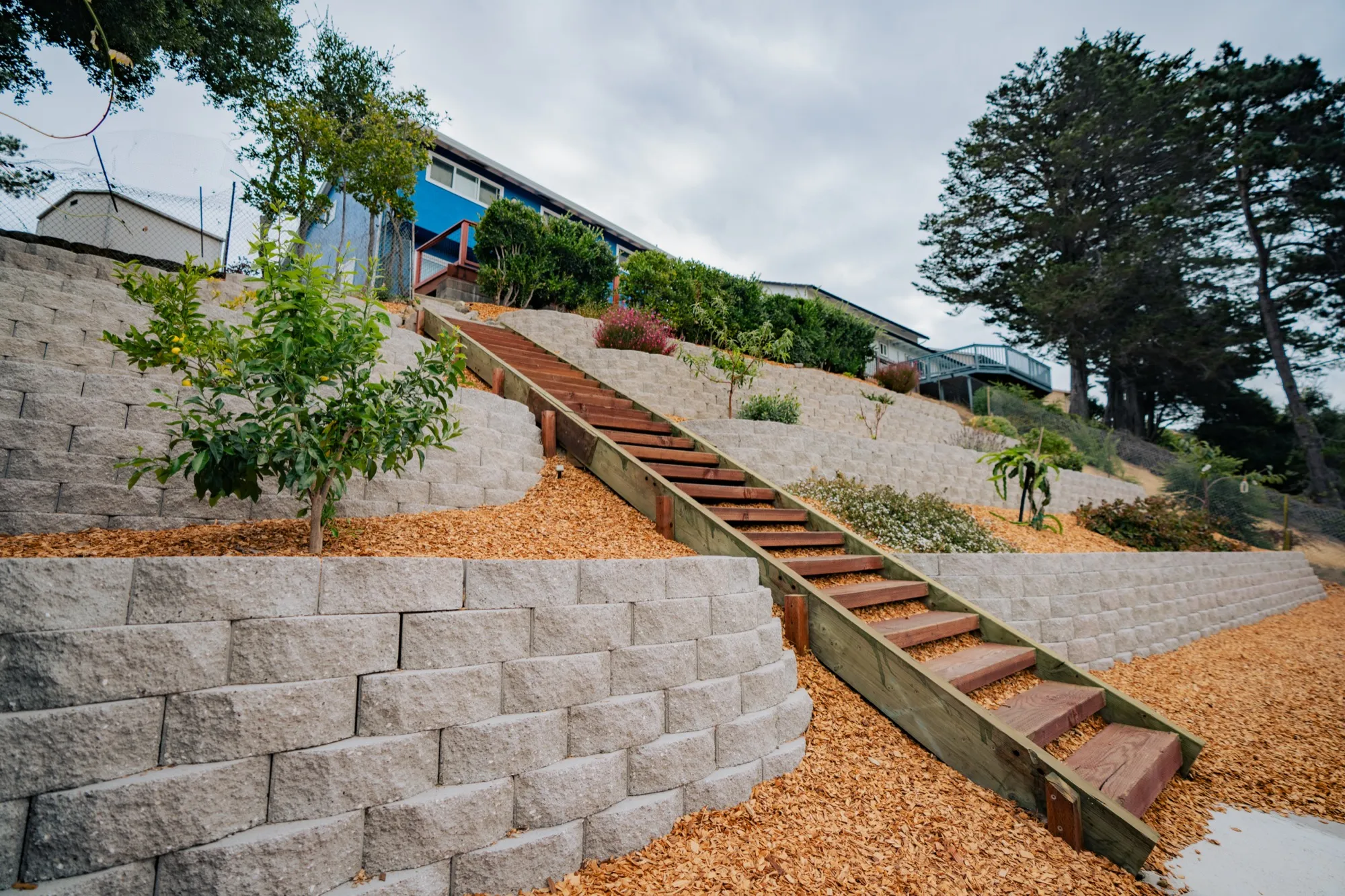 Multi-tier segmental block retaining walls with timber stairs on a steep East Bay hillside